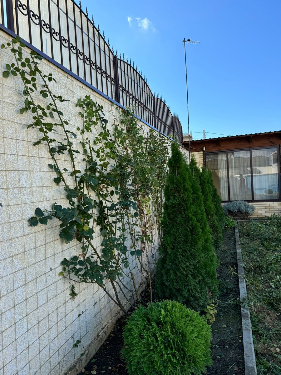 Осенняя обрезка роз