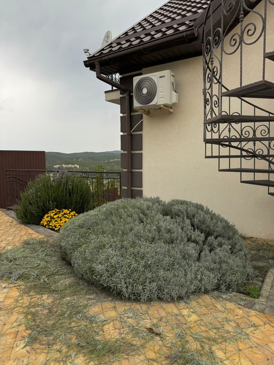 Осенняя обрезка лаванды