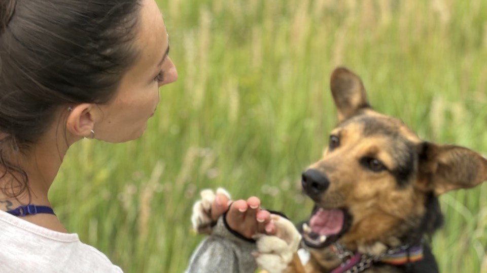 Скоро исполнится 5 лет, как эта собака счастье своё мимо своих ушей провожает
