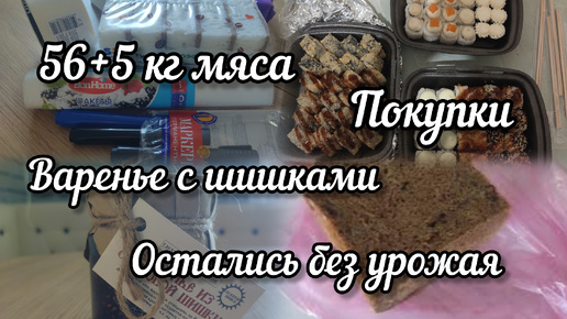 Купили 61кг мяса🥩 Покупки 🛍️Пирожки для сына🥐 Остались без урожая.