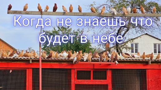 Когда не знаешь что будет в небе