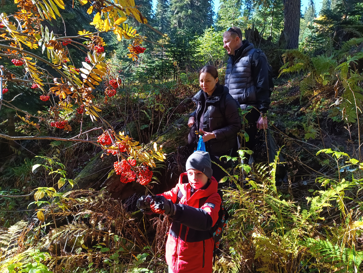 Лес как на картинах художников. Как будто попали в другой мир полный волшебства и спокойствия.