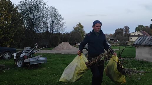 Сохранение саженцев перед посадкой.