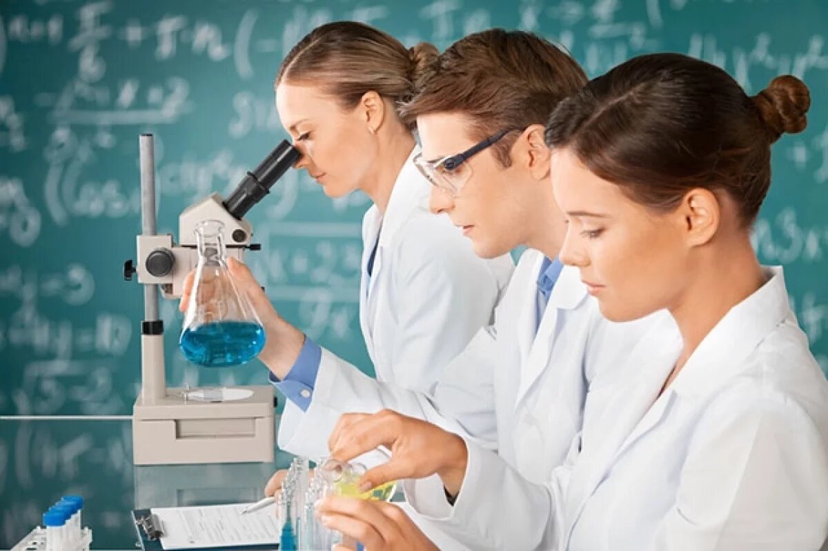    13 заявок поступило на Новосибирские гранты в сфере науки и инноваций