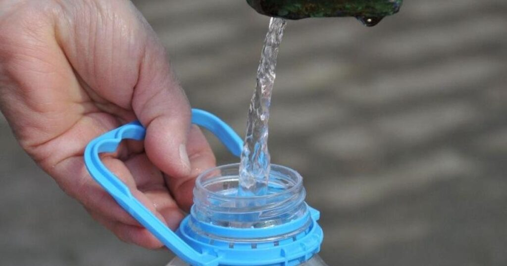    Фото: pavpos.ru Ульяна Бажанова