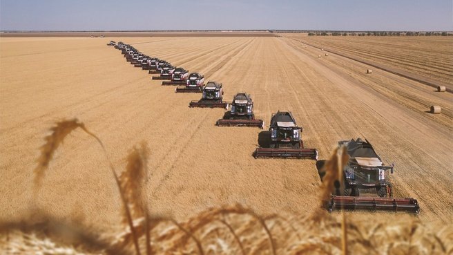 Игорь Руденя поздравил аграриев с профессиональным праздником