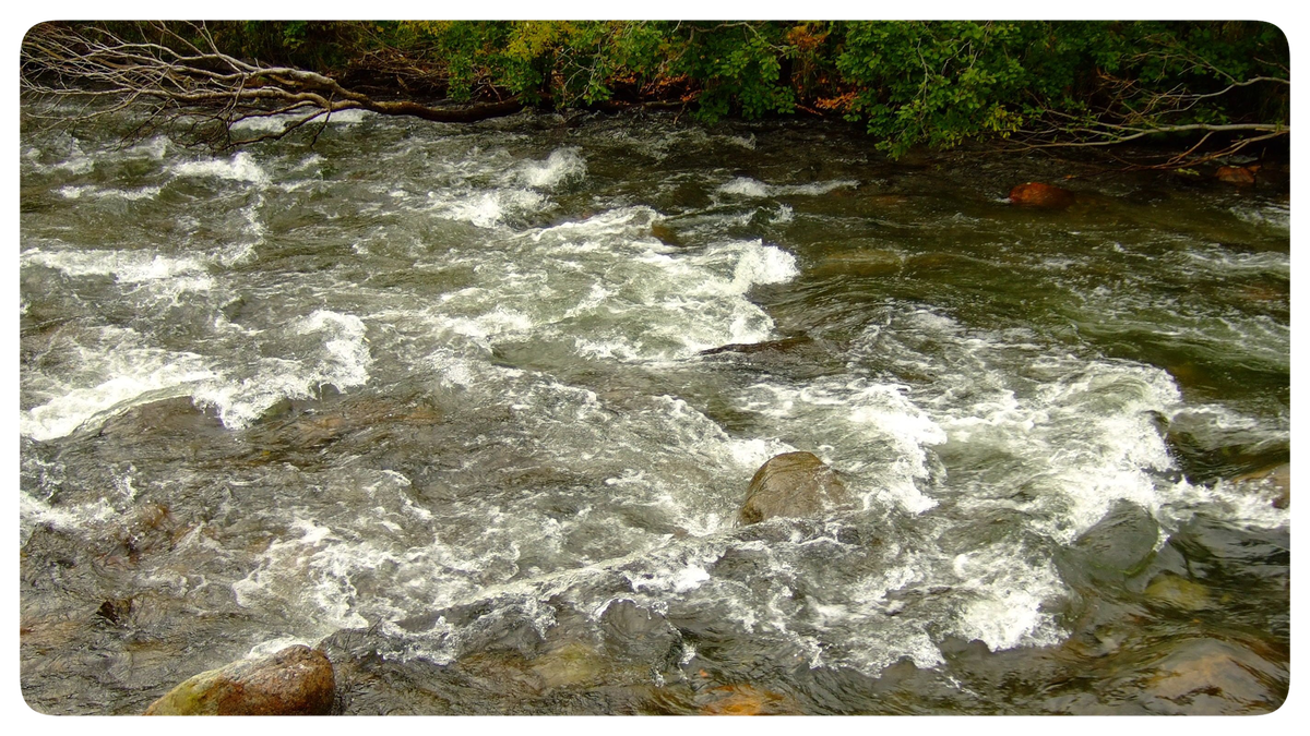 Фото с сайта wikipedia.org – Река Белая (Мурманская область)