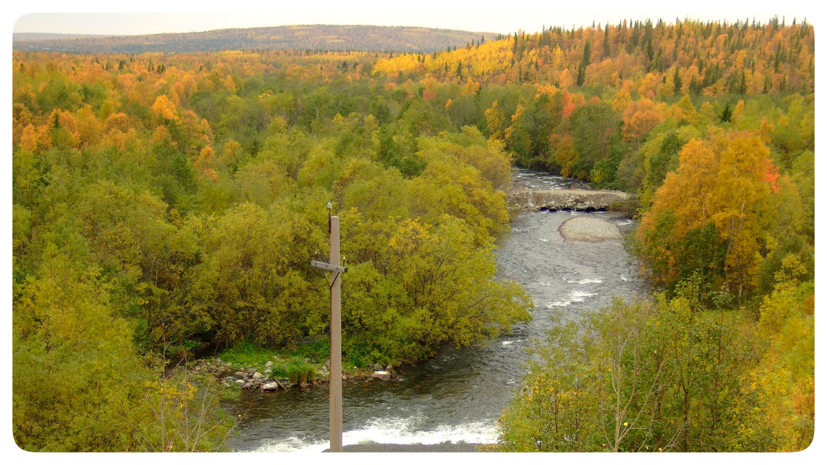 Фото с сайта wikipedia.org – Река Белая (Мурманская область)