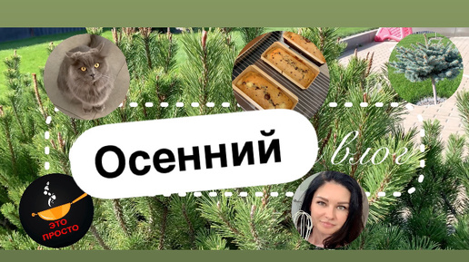 Осенний влог: (не) гламурное утро, уборка на кухне, чем кормлю семью, готовим мой любимый кекс