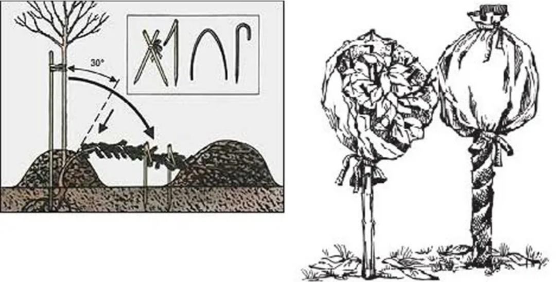 Иллюстрация к теме
