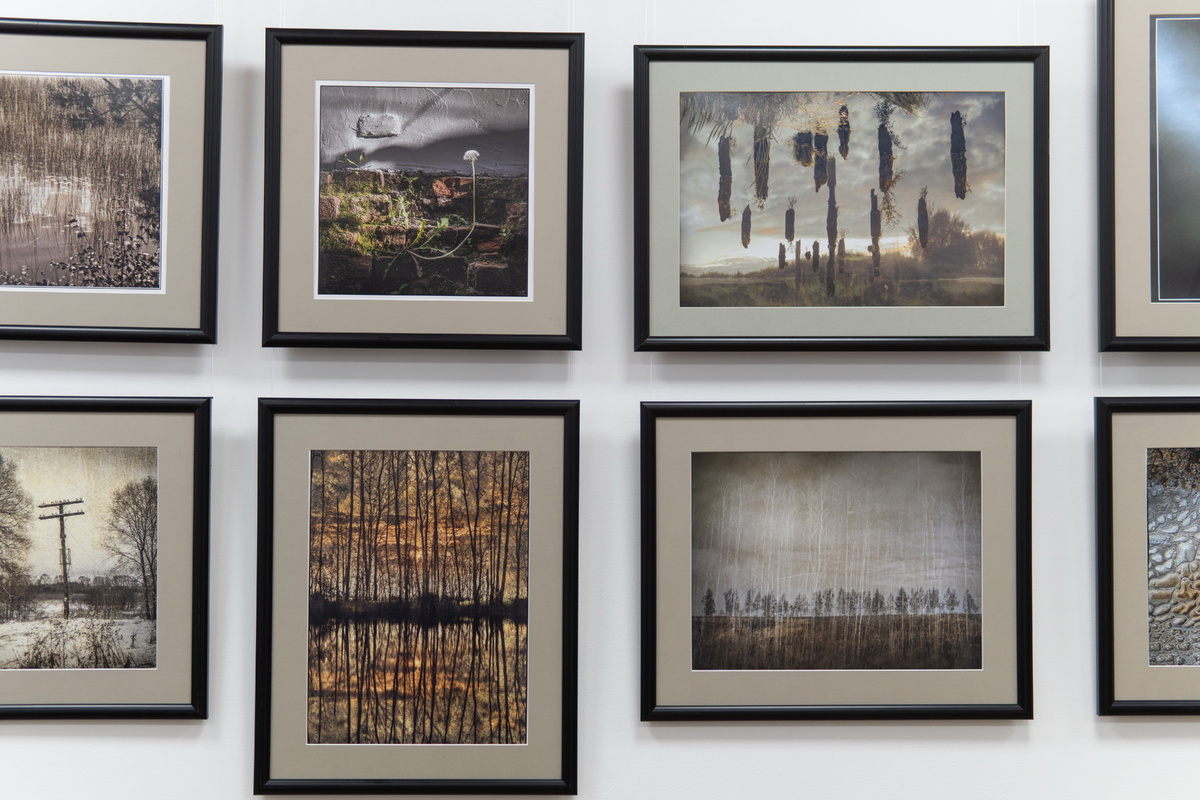    Фото: Фото: Дмитрий Мясников