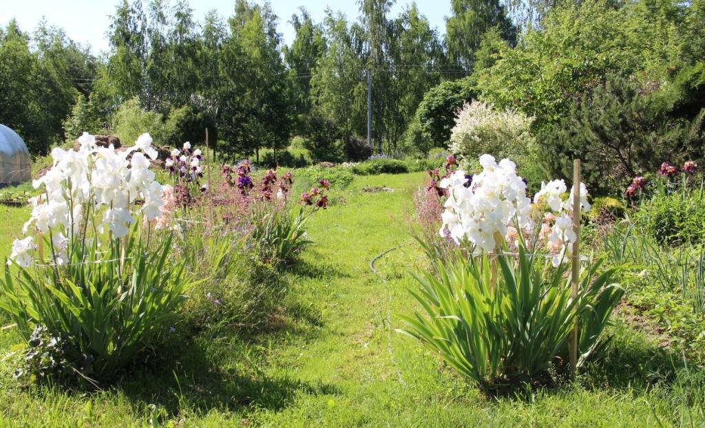 Фотографии в тексте - автора:  Елены Цветковой.