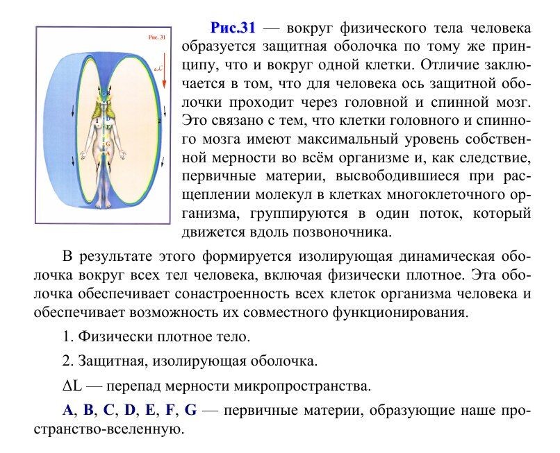 Описание Рисунка 31, из книги "Сущность и Разум том 1" Николай Левашов.