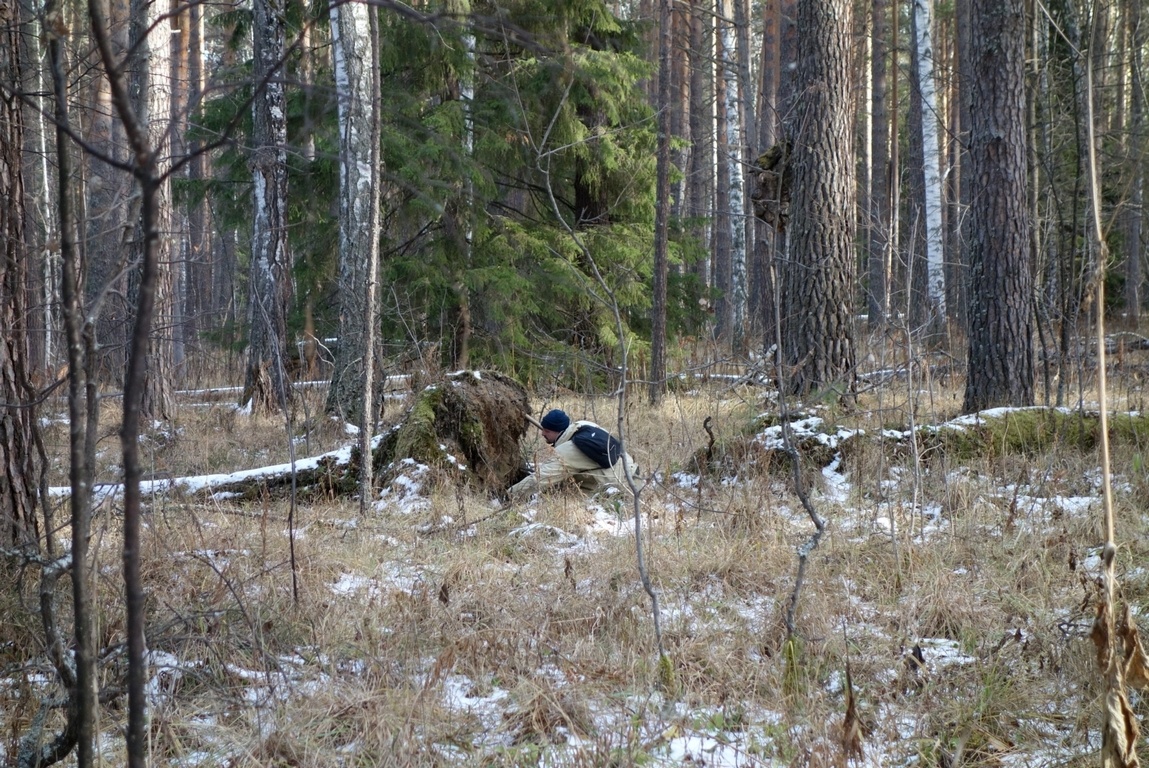 Андрей осматривает выворотень