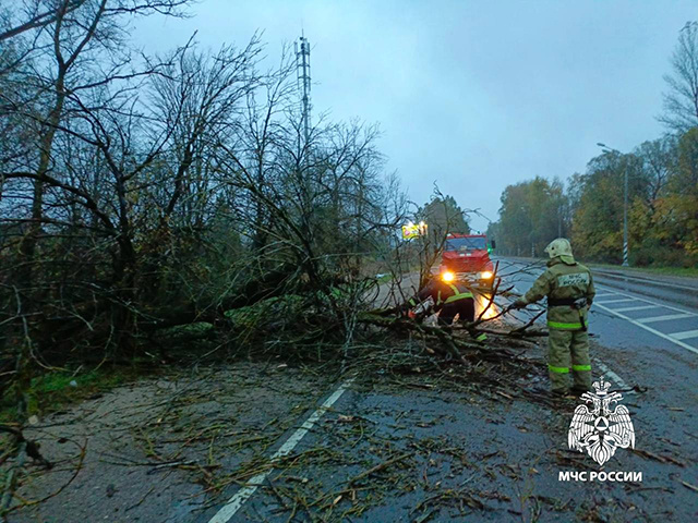 Под Тверью сотрудники МЧС убрали с дороги упавшее дерево