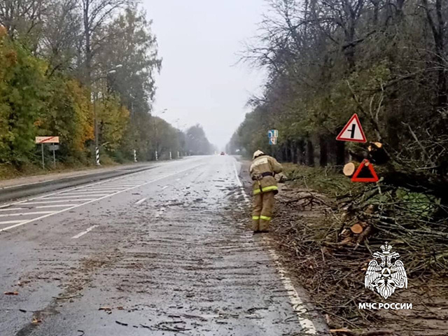 Под Тверью сотрудники МЧС убрали с дороги упавшее дерево