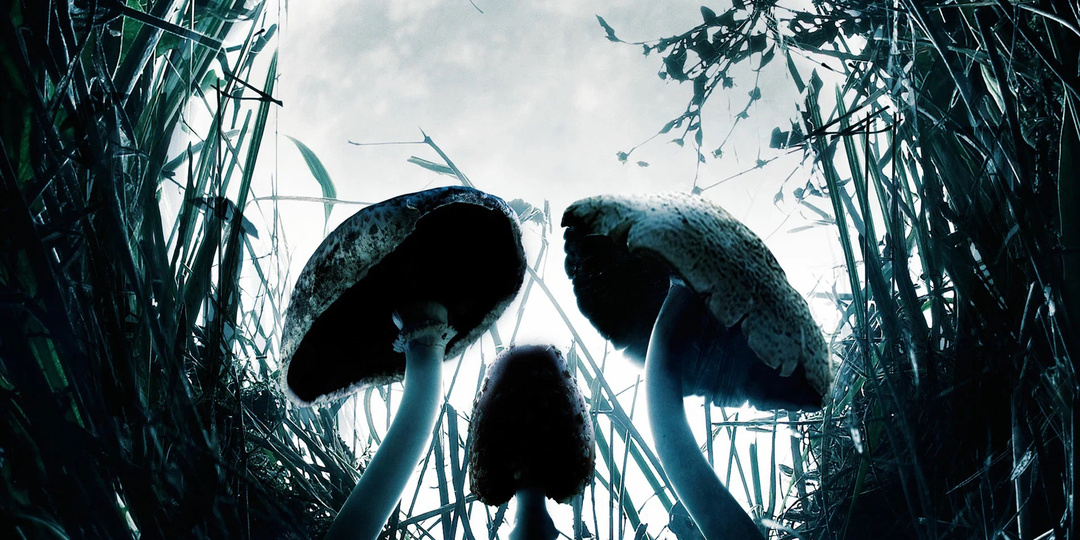 Жуткие фильмы ужасов, действия которых происходят в лесу 🌲