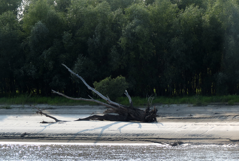 Вагай. Ермак ходил в Сибирь совсем не так, как вам рассказывали в школе?