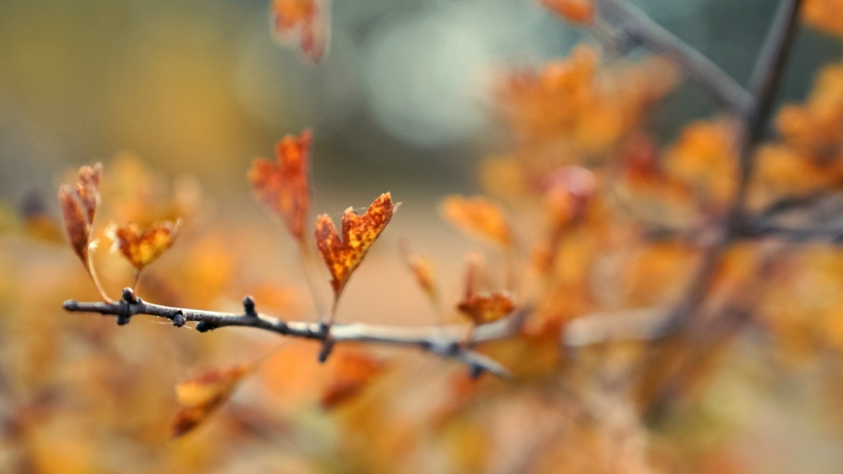 Светлана Мулыкина📷
