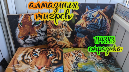 Моя коллекция алмазных тигров. Алмазная мозаика 💎🐾🐯