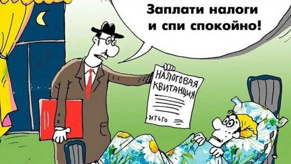 Источник Яндекс картинки