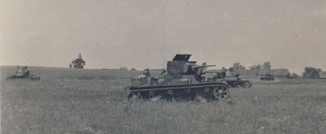 поле под Войницей(Александровка)