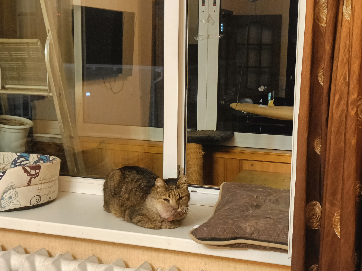 Небольшая перестановка, сделанная Масиком