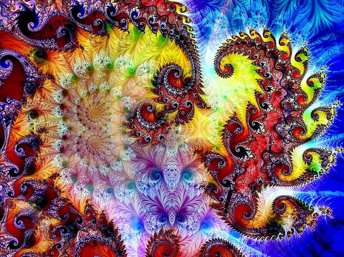 Картинка из интернета