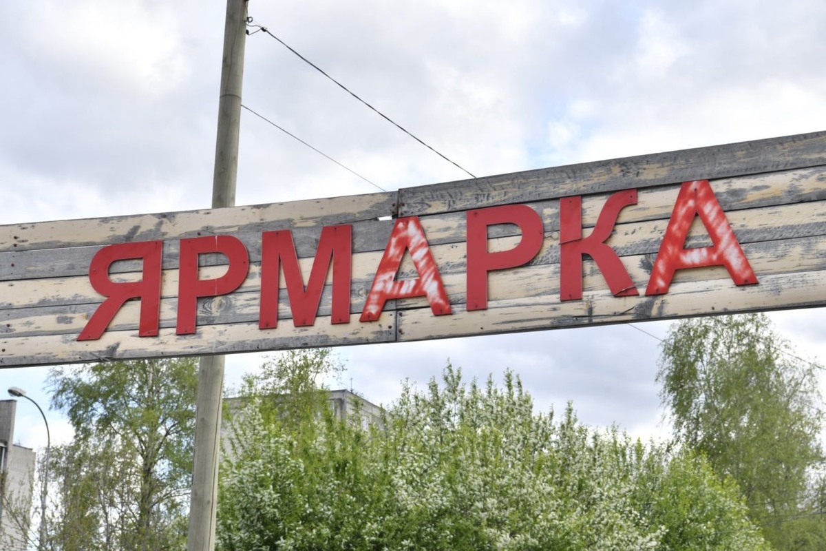    Фото: "Республика" / Оксана Кудряшова