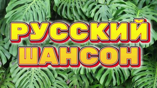 ▶️265. 💎СЛУШАТЬ ПЕСНИ 👉РУССКИЙ ШАНСОН 2024 | ШИКАРНЫЙ РУССКИЙ ШАНСОН 2024 | ЛУЧШЕЕ ШАНСОН