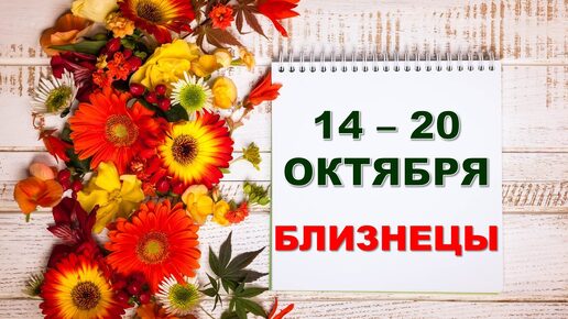 ♊ БЛИЗНЕЦЫ. 🏵 С 14 по 20 ОКТЯБРЯ 2024 г. 🌼 Таро-прогноз 💝