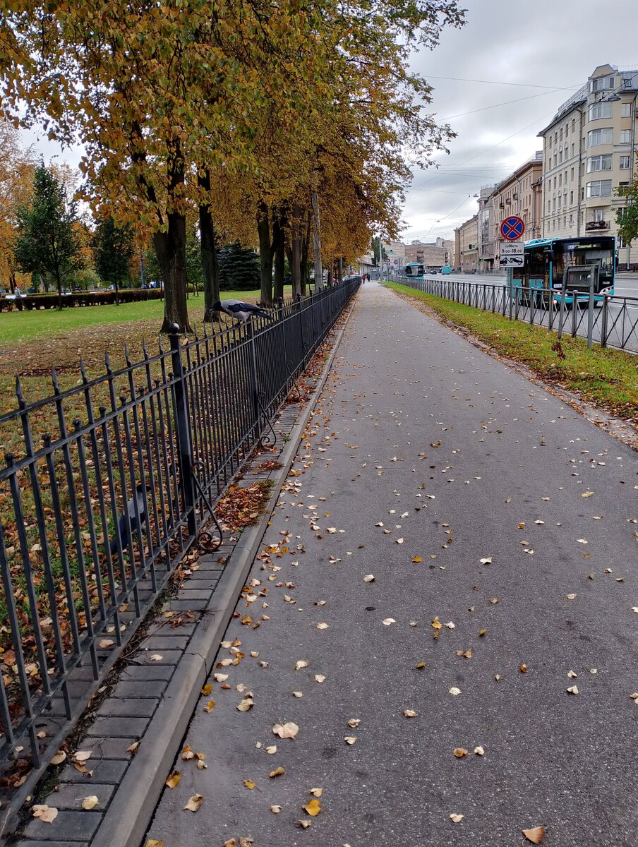 Здесь и далее фото из личного архива автора.