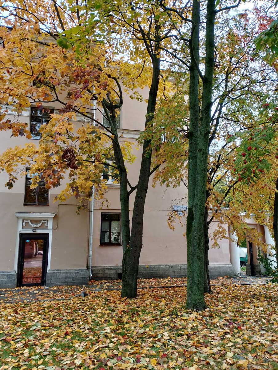 Фото автора. Листайте галерею.