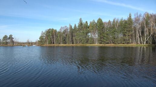 Прогулка в лесу