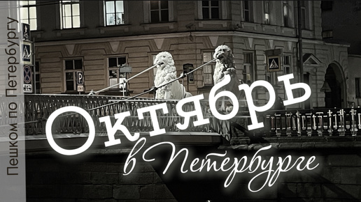 Пешком по октябрьскому Петербургу. Биржевой мост, Стрелка ВО, Дворцовая, Большая Морская, Мойка, Исаакиевская площадь, канал Грибоедова