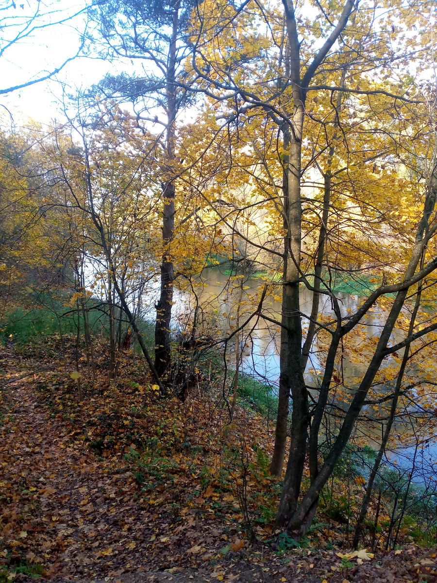 Наша река в октябре 
