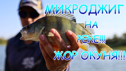 МИКРОДЖИГ рулит💪💪💪 Злой окунь на реке 👍ЖОР??? Начало!!!