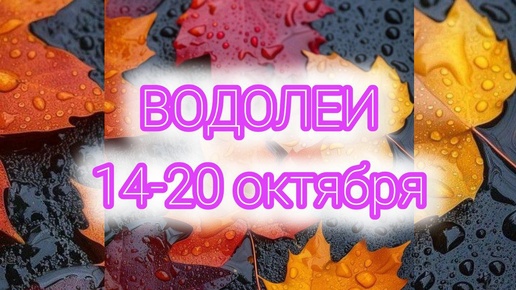 ВОДОЛЕИ. Неделя с 14-20 октября. Сил хватит! Таро прогноз.