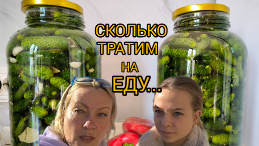 Сколько тратим на еду... И не только... Жизнь в своём доме в Сербии. №51