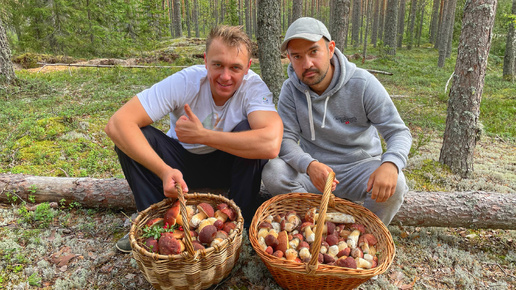 ЛУЧШАЯ ТИХАЯ ОХОТА В ЖИЗНИ! МНОГО БОРОВИКОВ В СОСНОВОМ ЛЕСУ | ТАКУЮ СУПЕР ГРИБАЛКУ МЫ ЗАПОМНИМ НАВСЕГДА | ГРИБЫ 2021