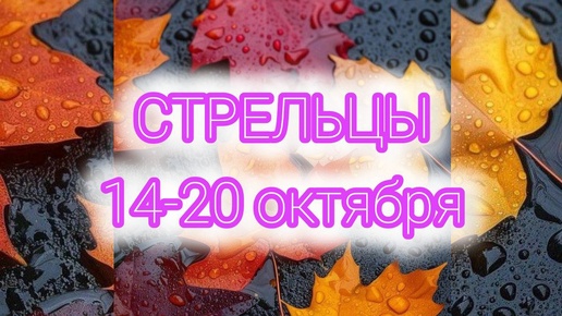 СТРЕЛЬЦЫ. Неделя с 14-20 октября. Отпустить! Таро прогноз.