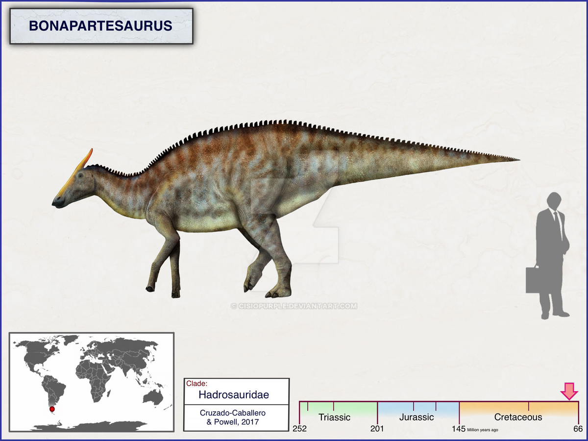 Реконструкция от cisiopurple