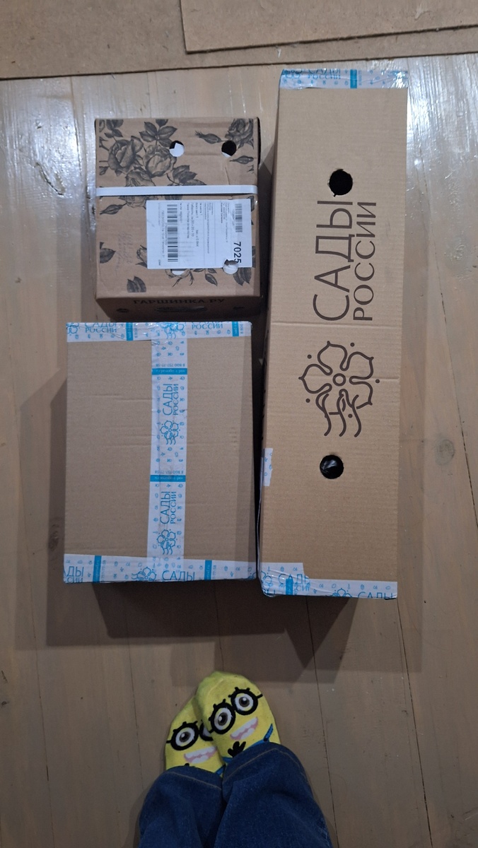 Фото автора.