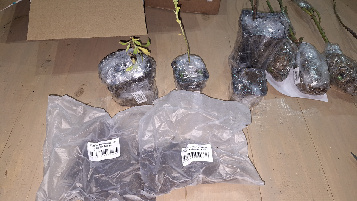 Фото автора. 