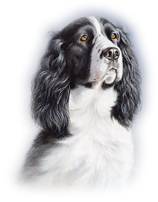 Иллюстрация из интернета. 