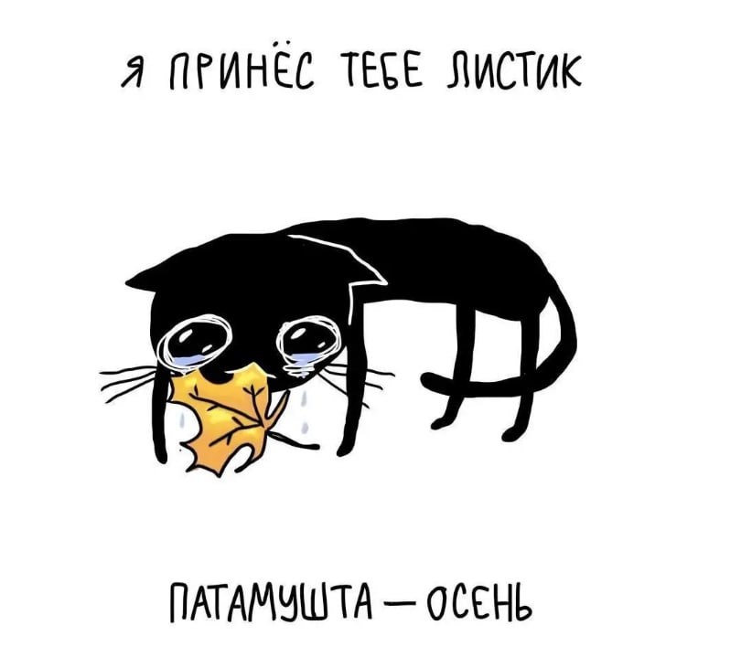 Картинка из интернета 