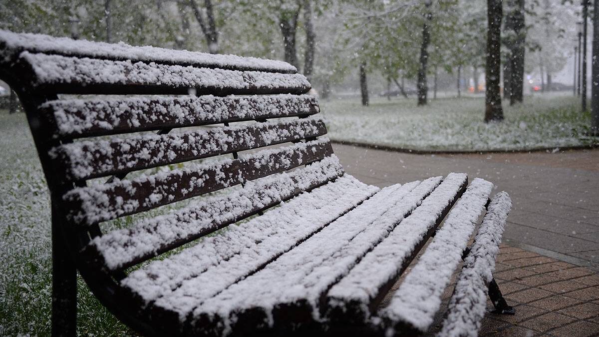    Фото: Пелагия Замятина / Вечерняя Москва