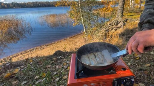 ДУШЕВНАЯ РЫБАЛКА НА ЛЕСНОМ ОЗЕРЕ, ЛОВИМ И ГОТОВИМ РЫБУ.