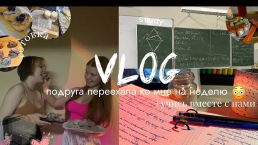 VLOG живу вместе с подругой неделю//учись вместе с нами✨♥️