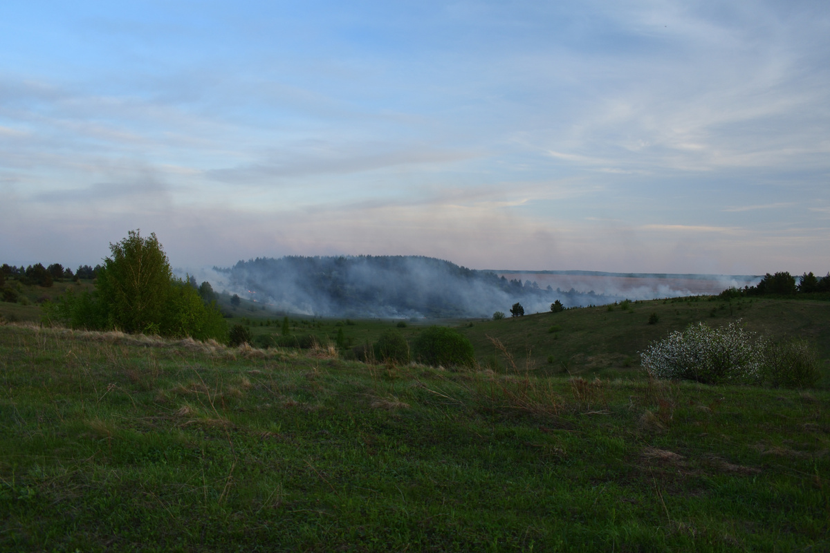 Последствия очередного пала травы (Мордовия, 30.04.2024).